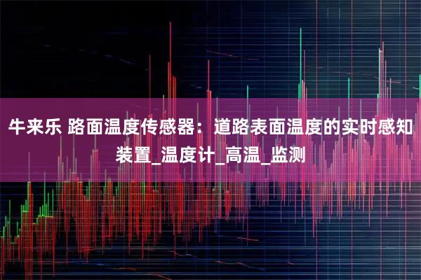 牛来乐 路面温度传感器:道路表面温度的实时感知装置_温度计_高温_监测