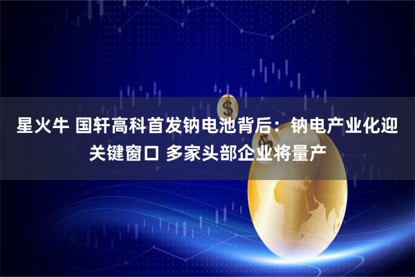 星火牛 国轩高科首发钠电池背后：钠电产业化迎关键窗口 多家头部企业将量产