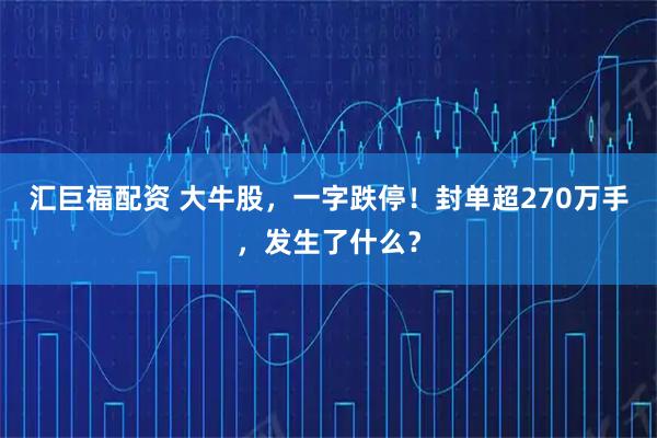 汇巨福配资 大牛股，一字跌停！封单超270万手，发生了什么？