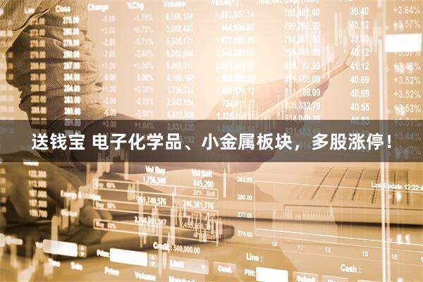送钱宝 电子化学品、小金属板块，多股涨停！