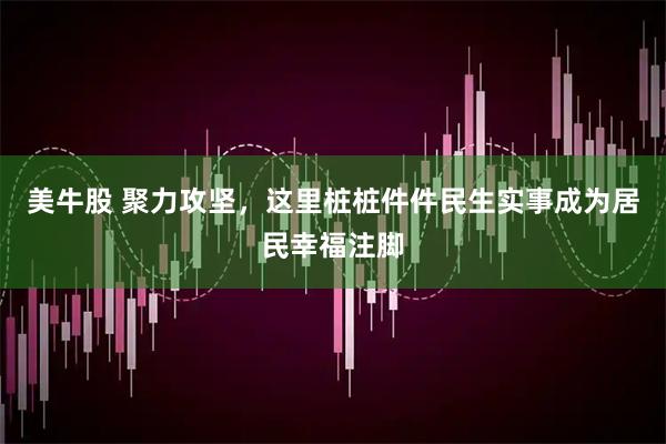 美牛股 聚力攻坚,这里桩桩件件民生实事成为居民幸福注脚