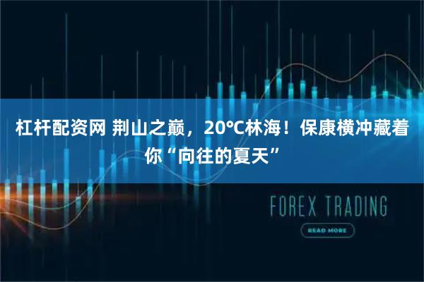 杠杆配资网 荆山之巅，20℃林海！保康横冲藏着你“向往的夏天”