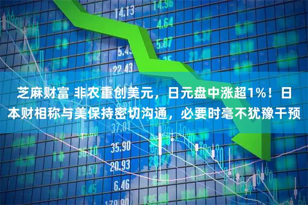 芝麻财富 非农重创美元，日元盘中涨超1%！日本财相称与美保持密切沟通，必要时毫不犹豫干预