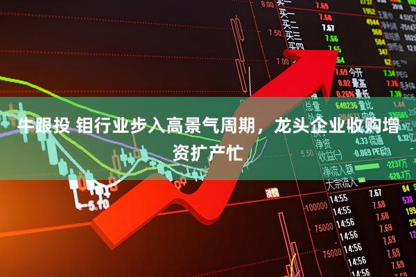 牛跟投 钼行业步入高景气周期，龙头企业收购增资扩产忙