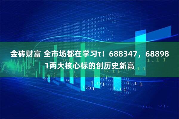 金砖财富 全市场都在学习τ！688347，688981两大核心标的创历史新高